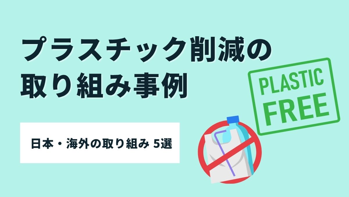 プラスチック削減-取り組み